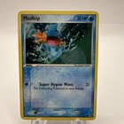 Mudkip