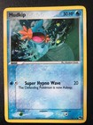 Mudkip