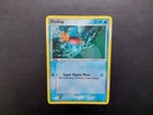 Mudkip