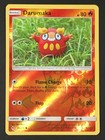 Darumaka