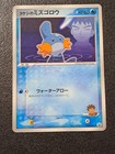 Brock’s Mudkip 