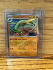 Flygon