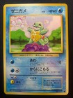Squirtle