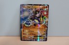 Zygarde EX