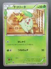 Chikorita