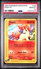 Ponyta