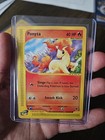 Ponyta
