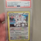 Cinccino