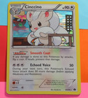 Cinccino