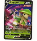 Leafeon V 