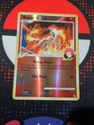 Rapidash