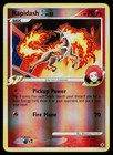 Rapidash