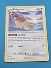 Pidgeotto