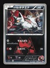 Team Magma's Poochyena