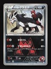 Team Magma's Poochyena