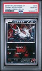 Team Magma's Poochyena