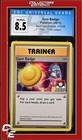 Gym Badge