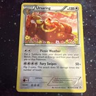 Ursaring