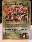 Erika's Ivysaur