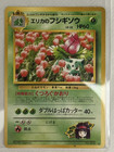 Erika's Ivysaur