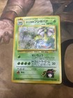 Erika's Ivysaur
