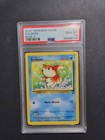Goldeen