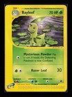 Bayleef