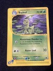 Bayleef