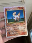 Ponyta