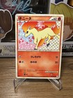 Ponyta