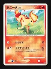 Ponyta