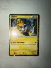 Raikou