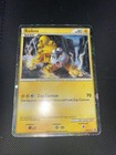 Raikou