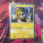 Raikou