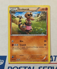 Krokorok