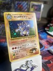 Brock's Rhydon
