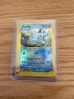 Totodile