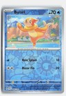Buizel