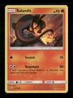 Salandit