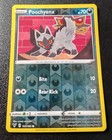Poochyena