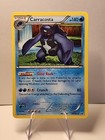 Carracosta
