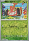 Mow Rotom
