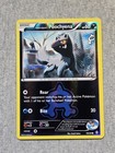 Team Aqua's Poochyena