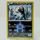 Team Aqua's Poochyena
