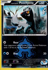 Team Aqua's Poochyena