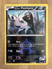 Team Aqua's Poochyena