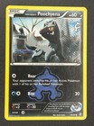 Team Aqua's Poochyena