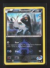 Team Aqua's Poochyena