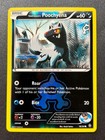 Team Aqua's Poochyena