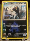 Team Aqua's Poochyena